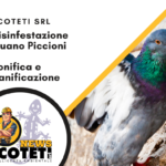 Disinfestazione-Guano-Piccioni-Grosseto---Ecoteti-srl Azienda Specializzata - copertina